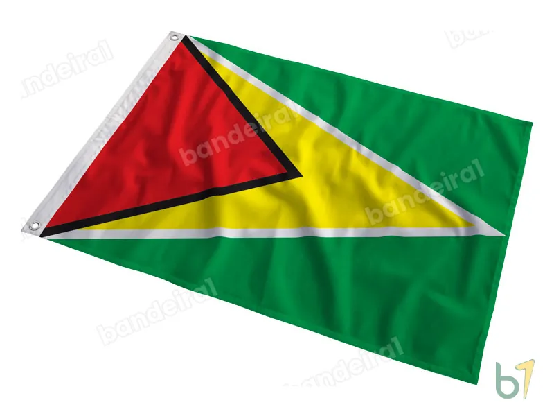Bandeira da Guiana — poliéster — em movimento