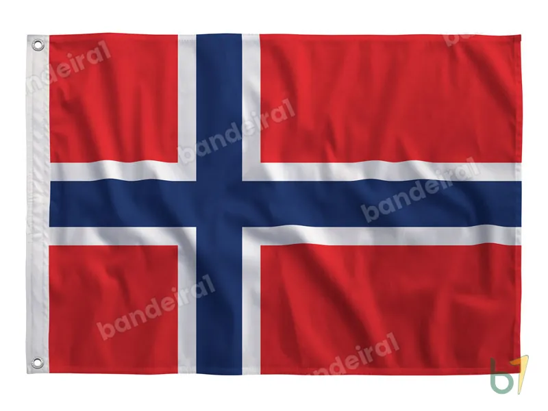 Bandeira da Noruega — poliéster — vista frontal